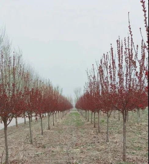 微信图片_20210311111619.jpg 微信图片_20210311111619.jpg