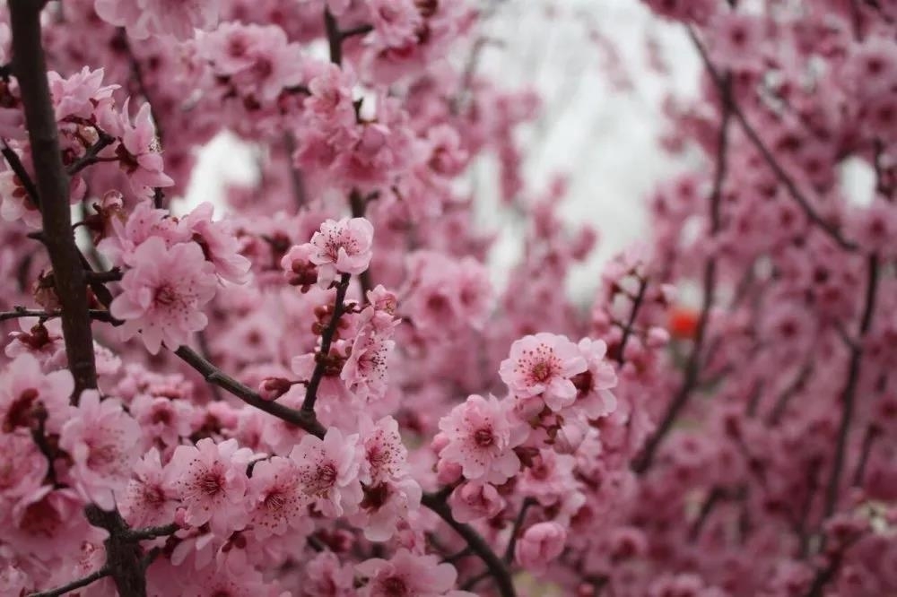 微信图片_20210311111625.jpg 微信图片_20210311111625.jpg