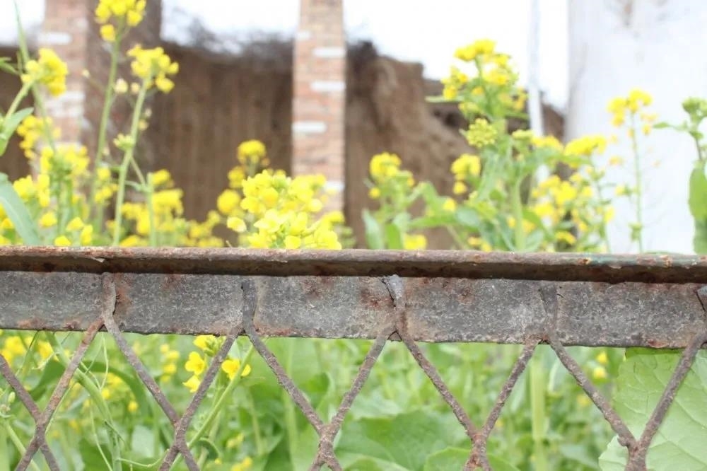 微信图片_20210311111622.jpg 微信图片_20210311111622.jpg