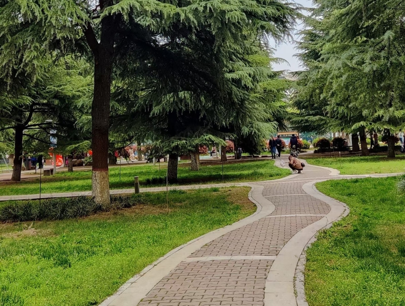 微信图片_20210609151435.jpg 微信图片_20210609151435.jpg