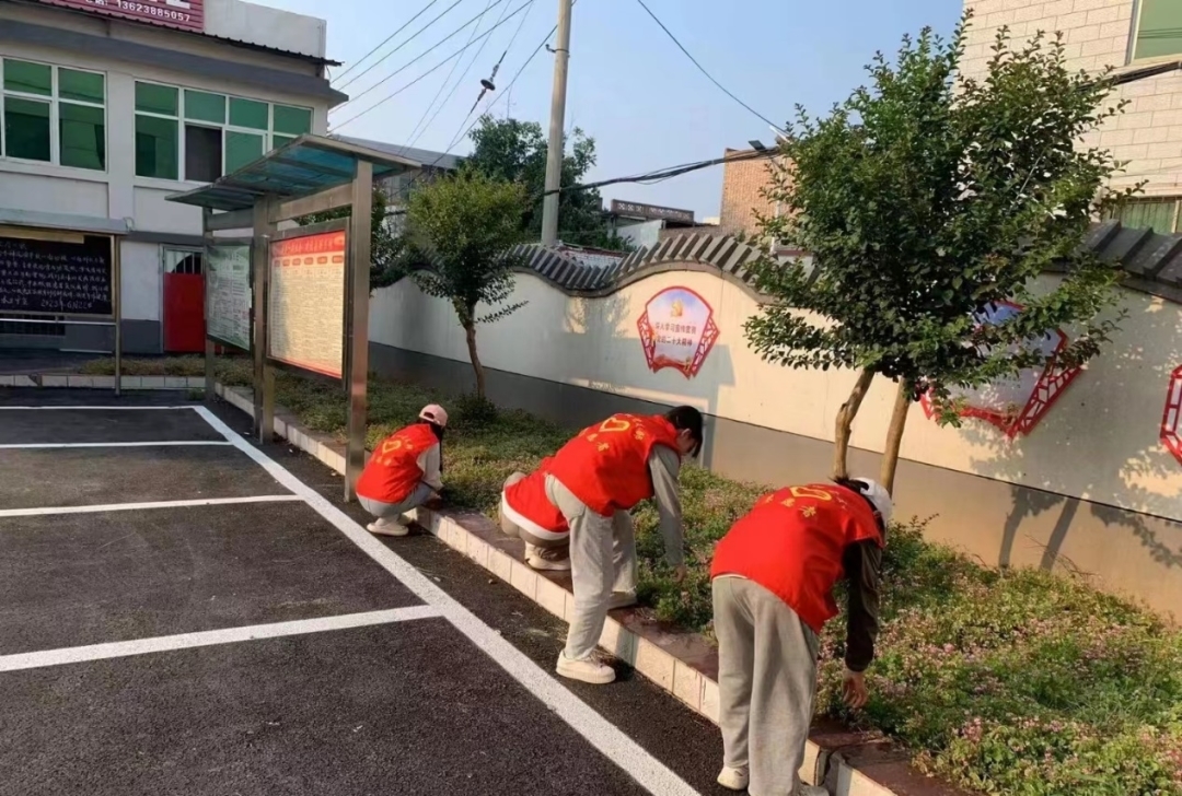 mmexport1743686668942.jpg mmexport1743686668942.jpg