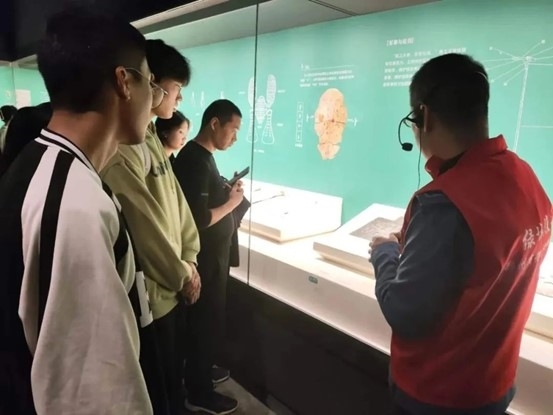 图片2.jpg 图片2.jpg